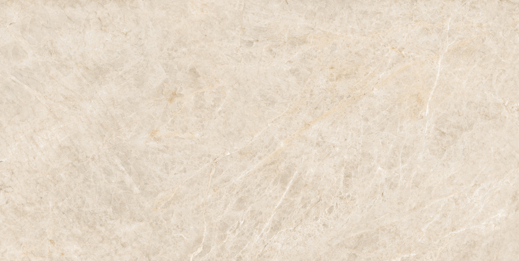 004.869.0001.14164 На пол Taj Mahal Polished Rect 60x120