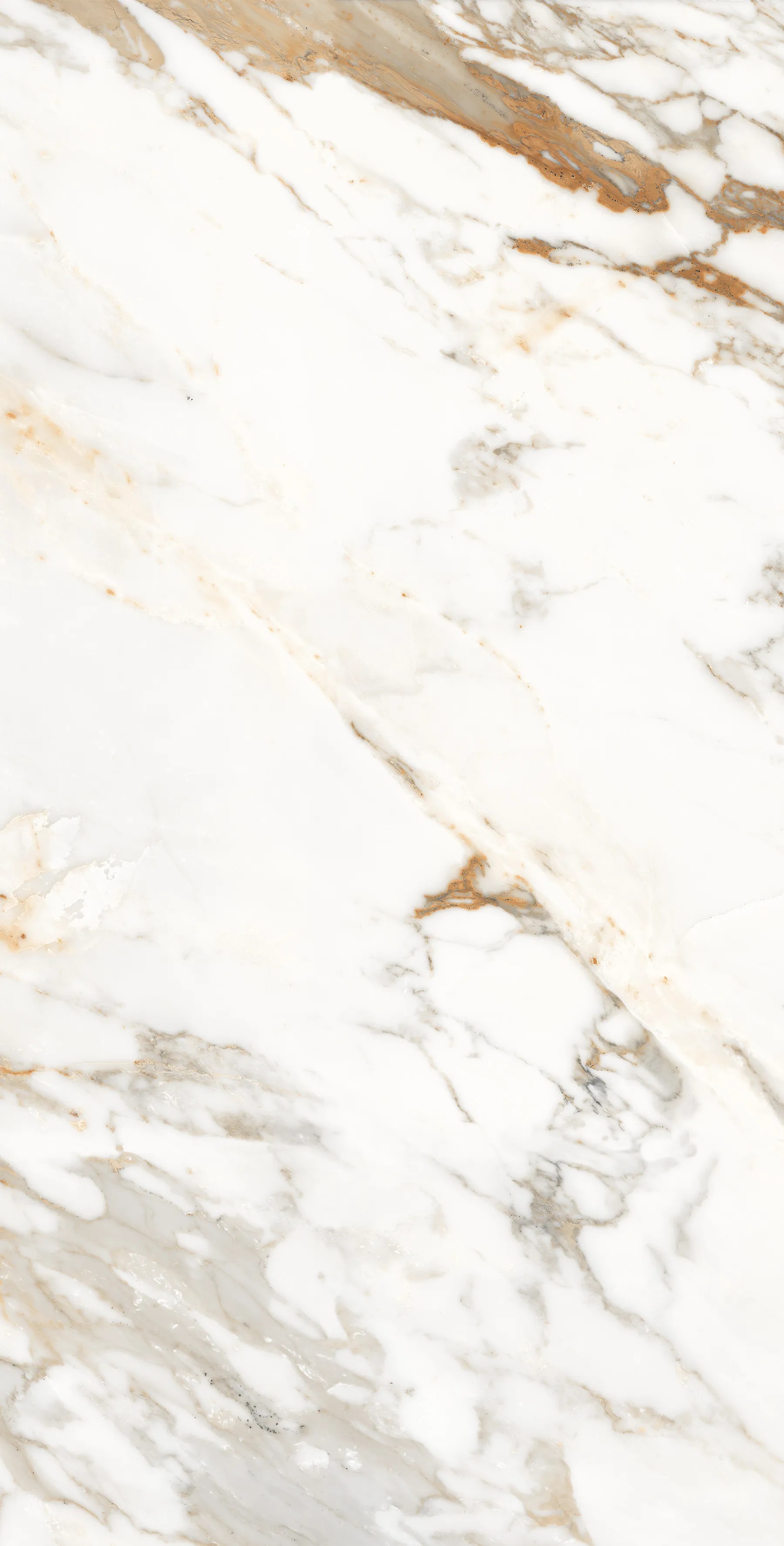 FP1006-A На пол Calacatta Oro 60x120 - фото 5