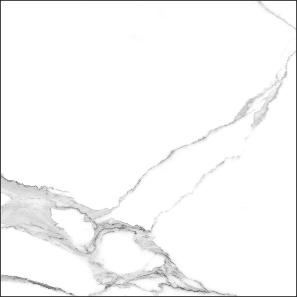 GT60601503MR На пол Anima Белый грес глаз. матовый - фото 11