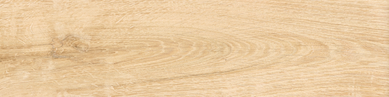 KM1040G0011N На пол Аргания Бежевый матовый 9.9x40.2x0.8 - фото 12