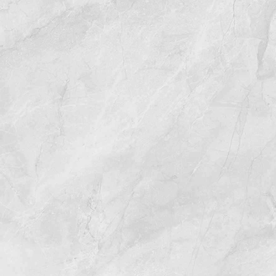 LP6060G0241R На пол Berna Silver светло-серый матовый 59.5х59.5 - фото 2