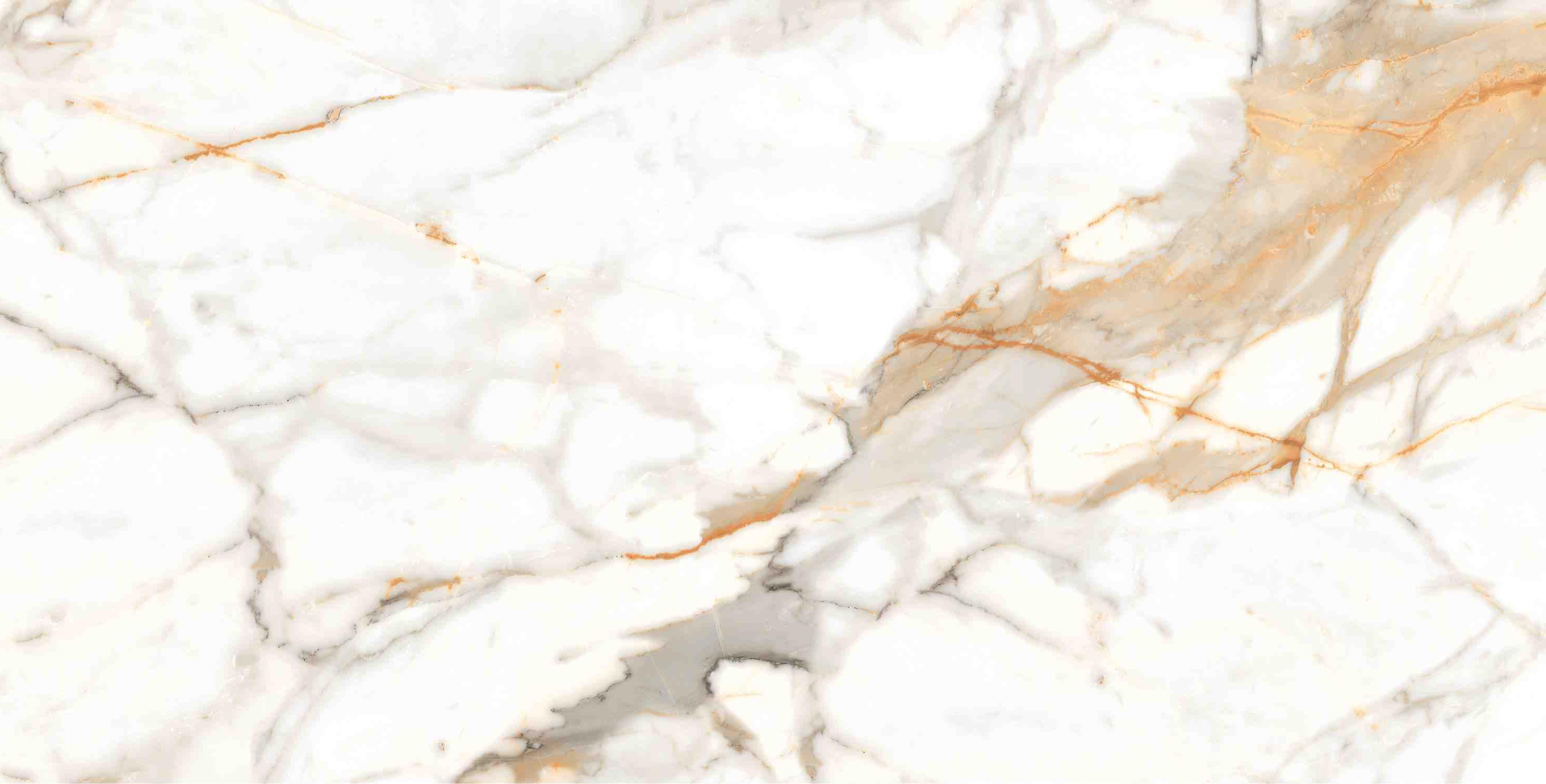 ENMAR7003MT60120 На пол Marble Calacatta Oro Matt 60x120 - фото 2