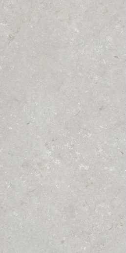 005487 На пол Shellstone Bianco 60x120