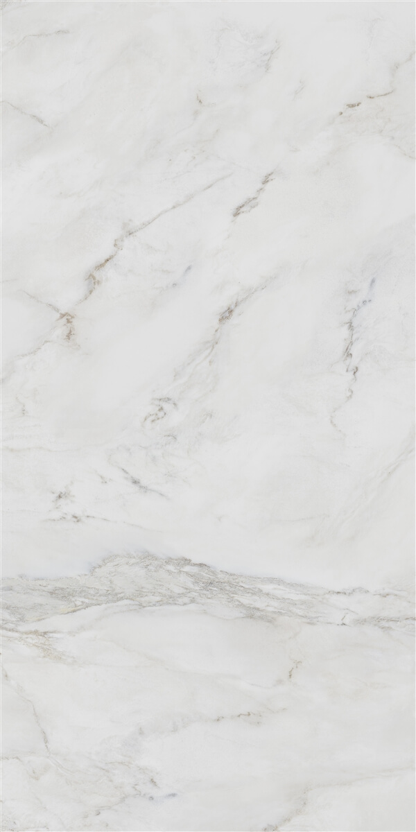 P19809 На пол Anderson White Polish Rec 60x120 - фото 6