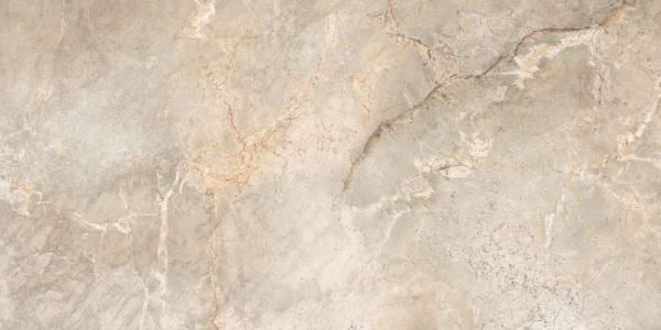 6502 На пол Marble Marble Silver Polished 60x120