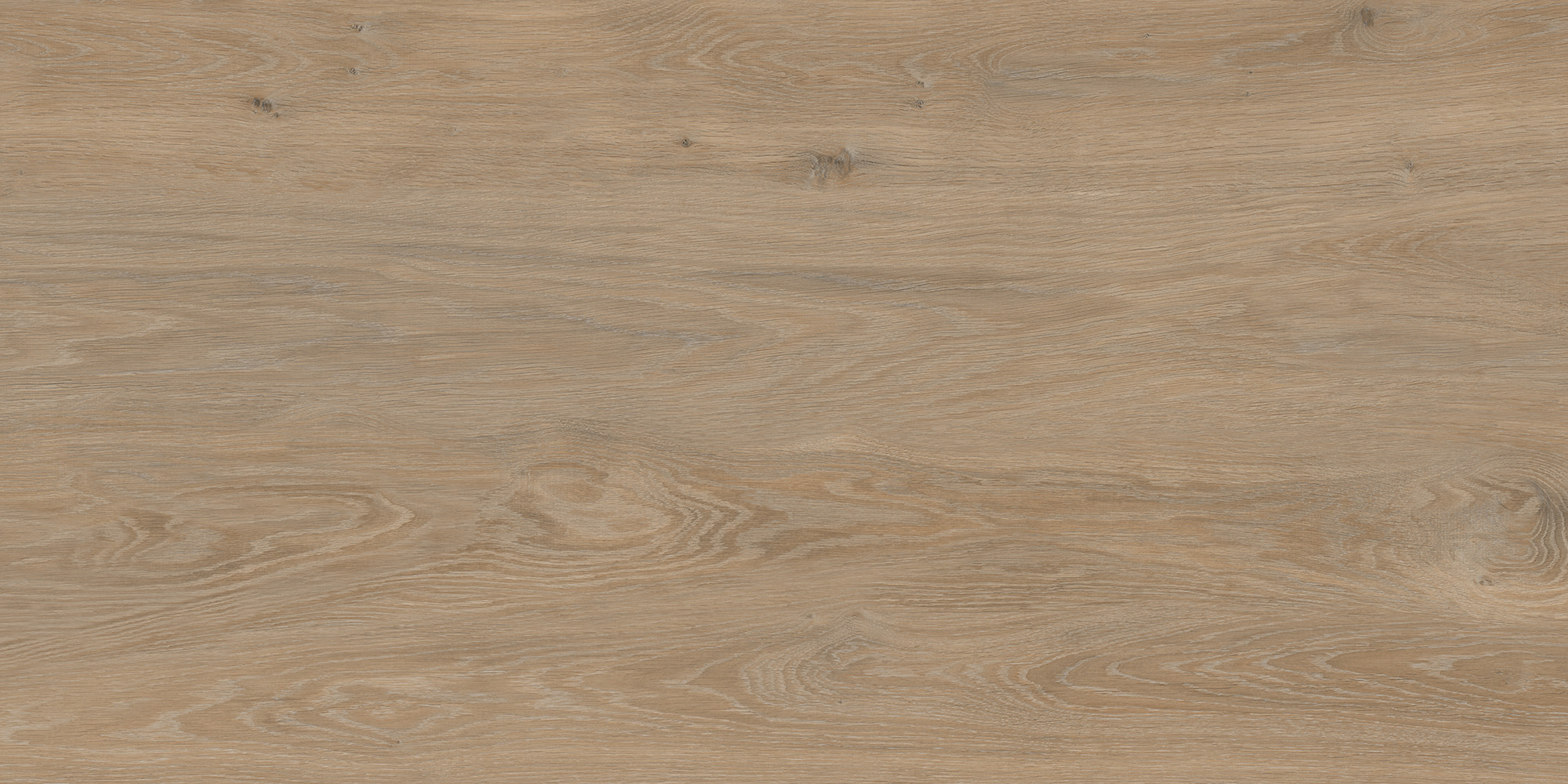 FO0L69M01  Forest Oak 60x120 - фото 5