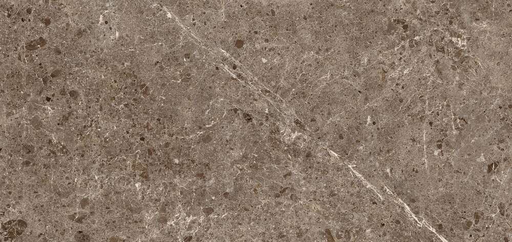 78RC27P На пол Coverlam Artic Moka Pulido 120x260 - фото 3