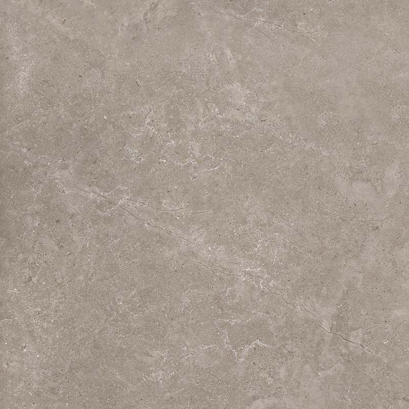 8163 На пол Shell DG 60х60 - фото 5