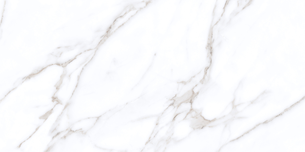 A17419 На пол Neve Полированный белый ректификат 60x120