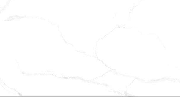 DST12001 На пол Gloss Porcelain Глянец 60x120