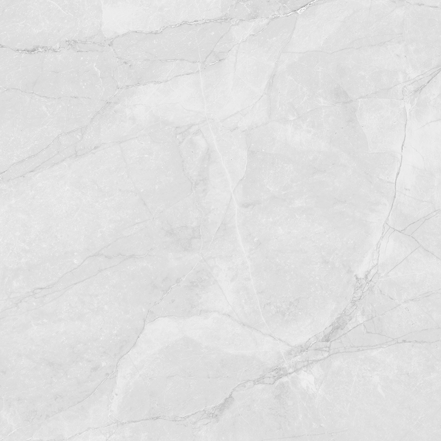 LP6060G0241R На пол Berna Silver светло-серый матовый 59.5х59.5 - фото 4