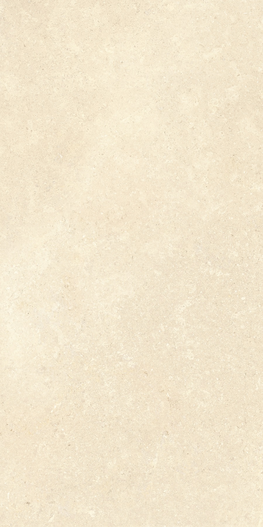 K948598R0001VTER На пол SandStone Песочный Матовый R10A Ректификат 60х120 - фото 7