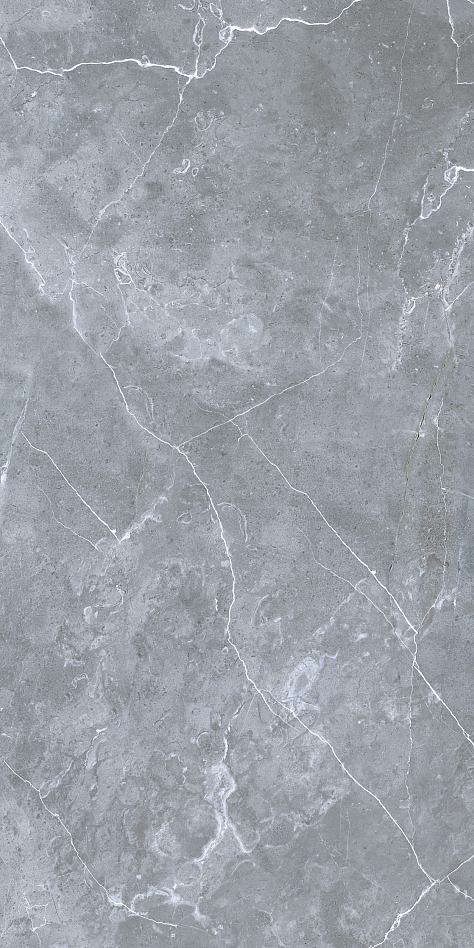 GRS02-12 На пол Petra Northen Silver 120x60 - фото 8