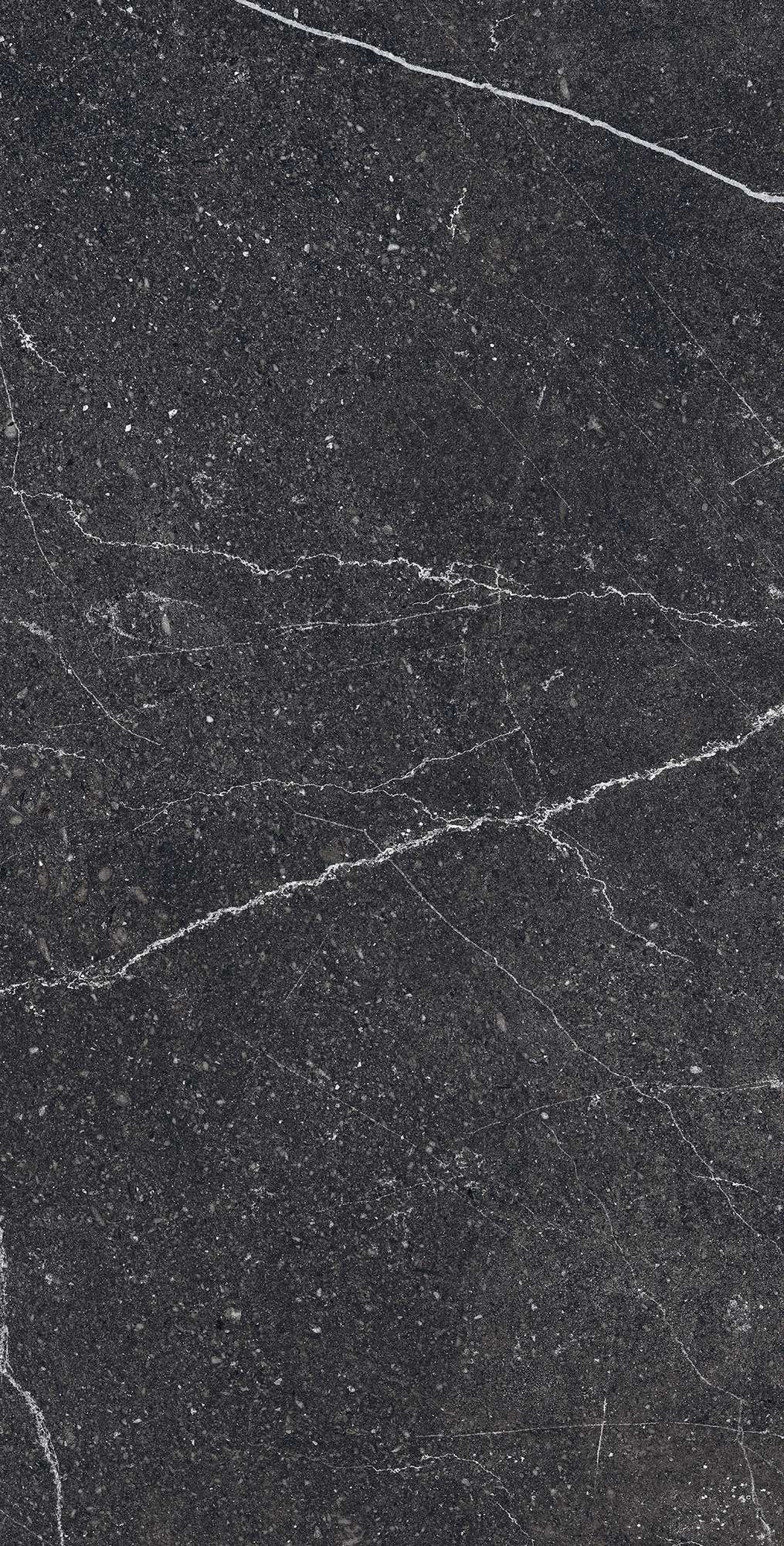 RG6003-A На пол Equistone Charcoal Rotto Glossy Ink 60x120 - фото 3