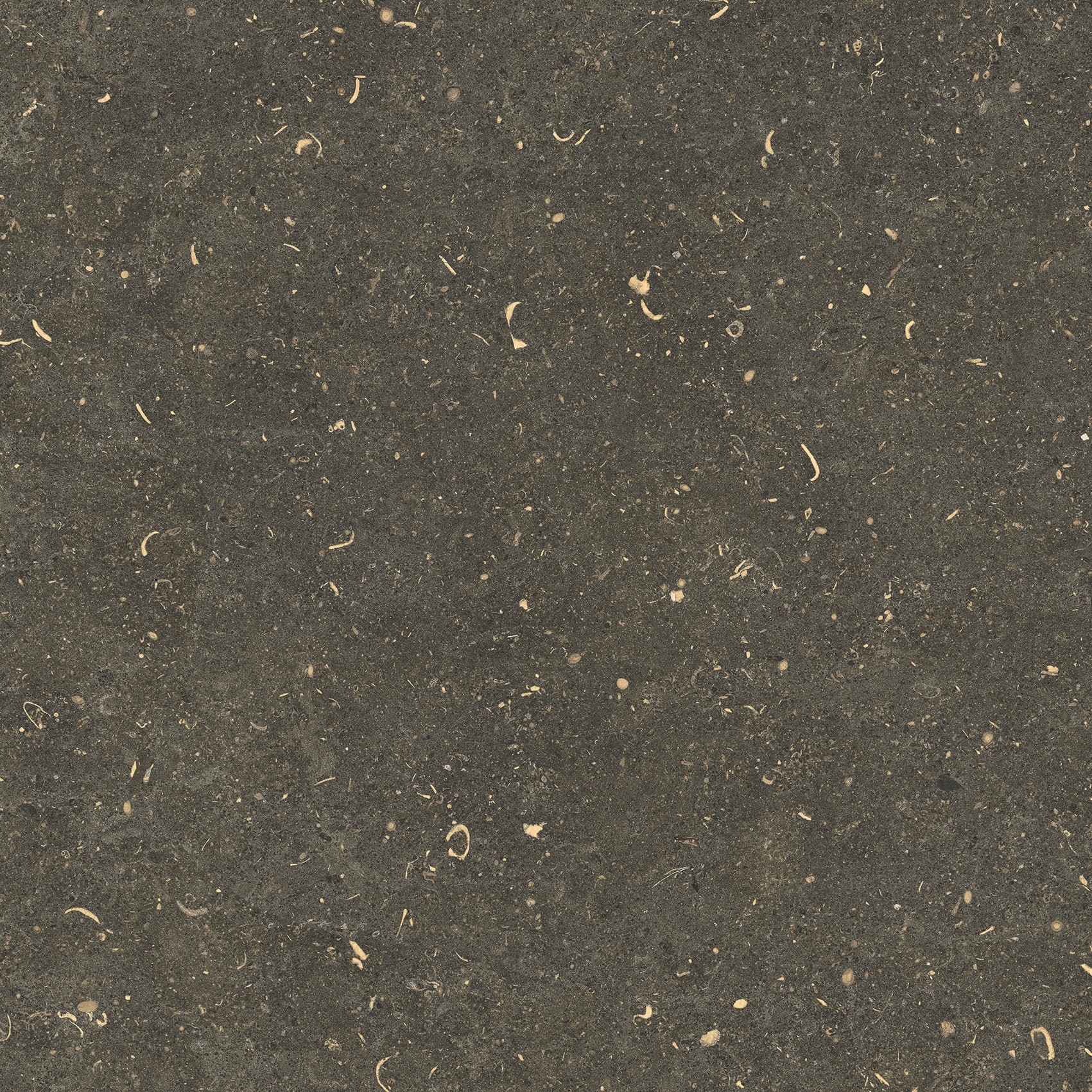 785499 На пол Rinascenza Arena Platino Grip 60x60 - фото 9