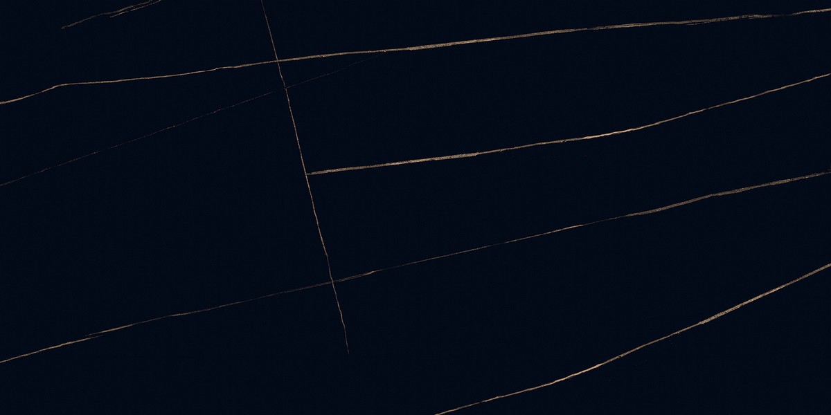 ENMAR1007HG60120 На пол Marble Sahara Noir High Glossy - фото 8