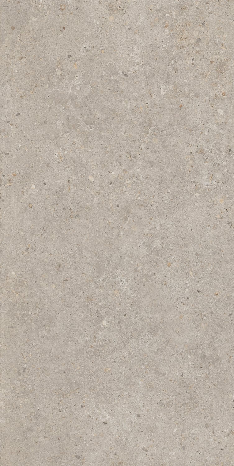 SG540620R На пол Риккарди Бежевый Матовый Обрезной 60x119.5