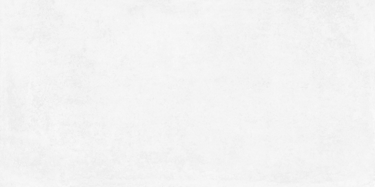 На пол Betonica Blanco PRO Светло-серый матовый R11Soft 60х120 - фото 3