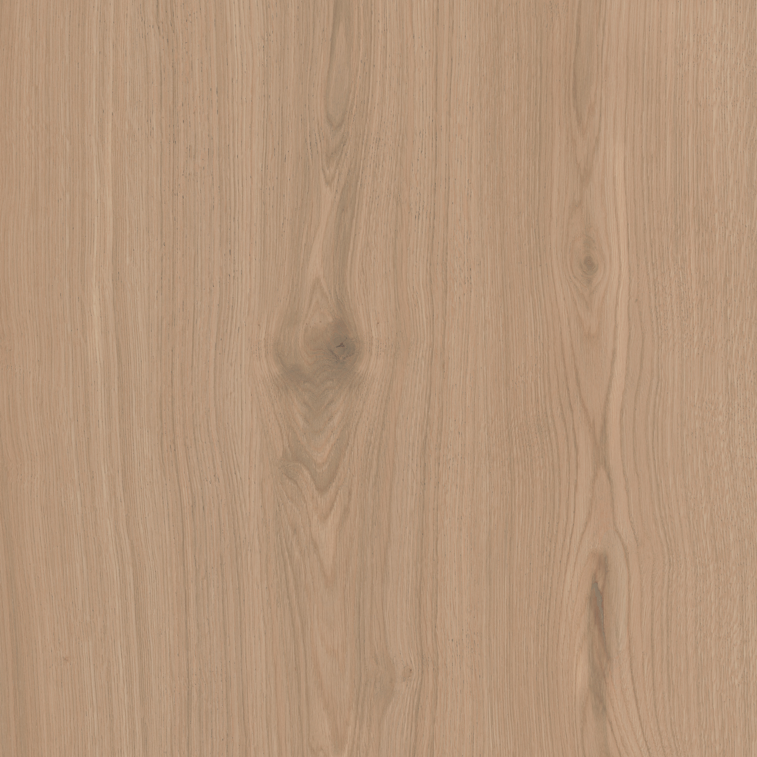 SG643620R На пол Альберони Бежевый матовый обрезной 60x60x0.9 - фото 6