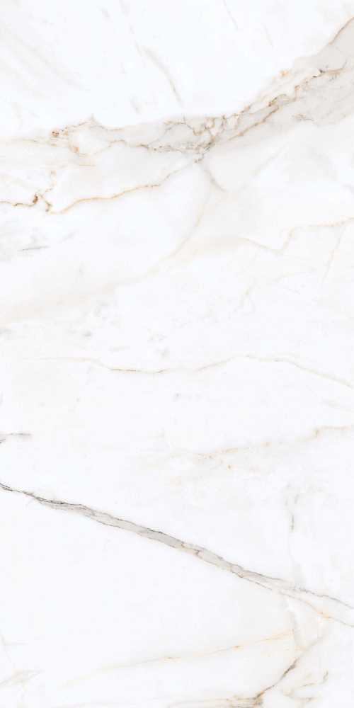 PR203 На пол Regal Carara Polished 60x120 - фото 2