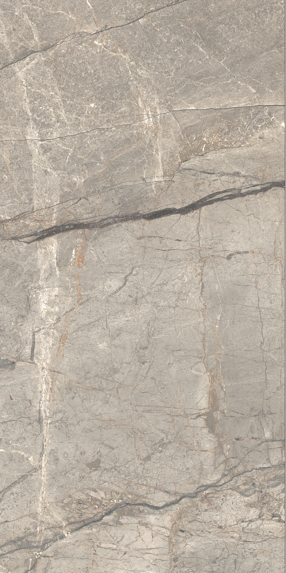 AIAV На пол Anima Futura Amazing Silver Liscio Matt 60x120 - фото 5