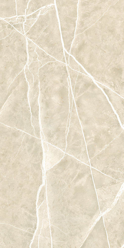 NTT99619PC На пол Granite Wisdom Stone Punch Carving 60x120 - фото 8