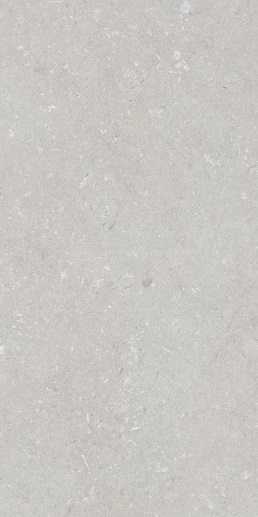 005487 На пол Shellstone Bianco 60x120 - фото 2