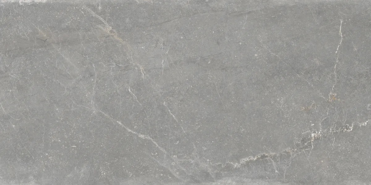 P0003697 На пол Bleuemix Grey 60x120 - фото 2