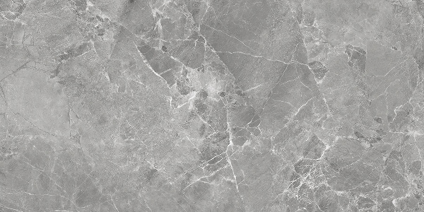 AB 3118G На пол Grigi Standart 120x60 Full Lappato Gloss - фото 2