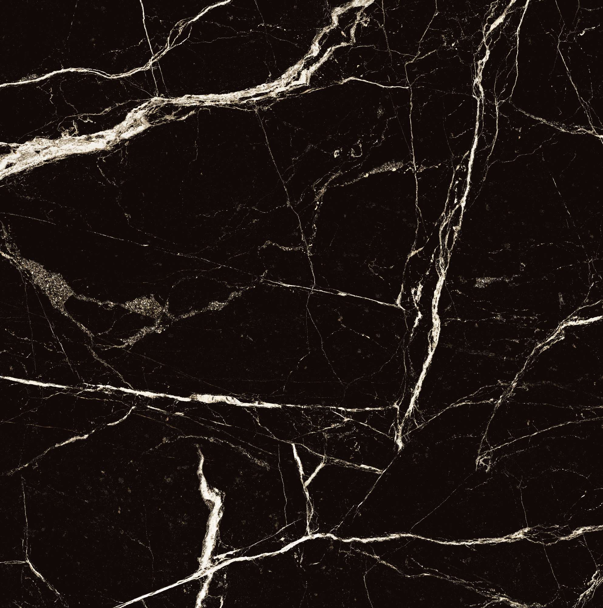 HG2008-A На пол Black Spinder High Gloss 60x60 - фото 6