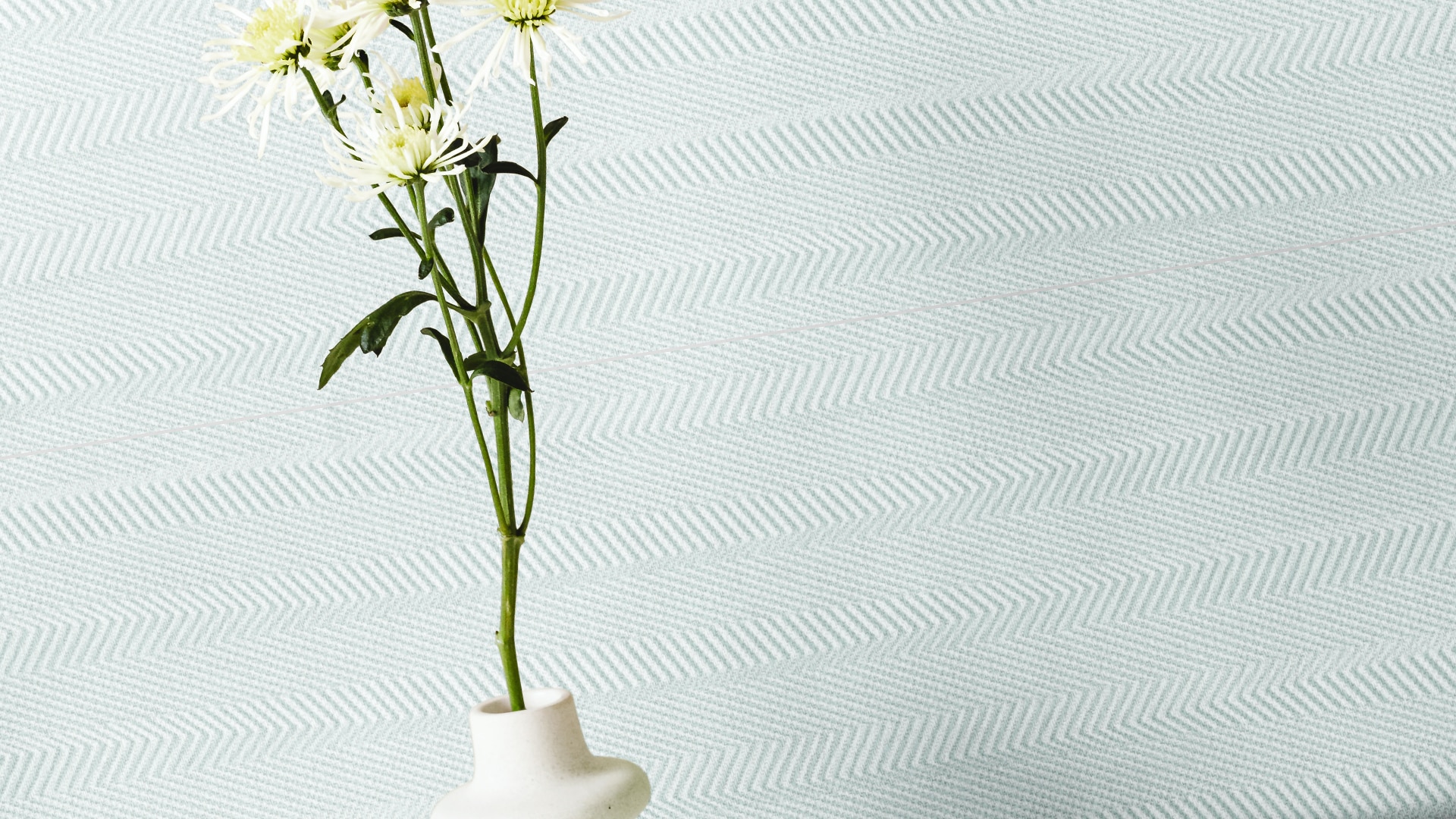 Azteca Sense - фото 3