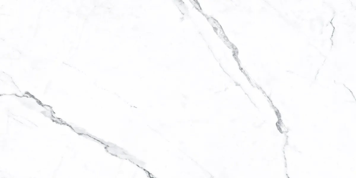 P0003810 На пол Idyllic Statuario White Starlight 120x60 - фото 2