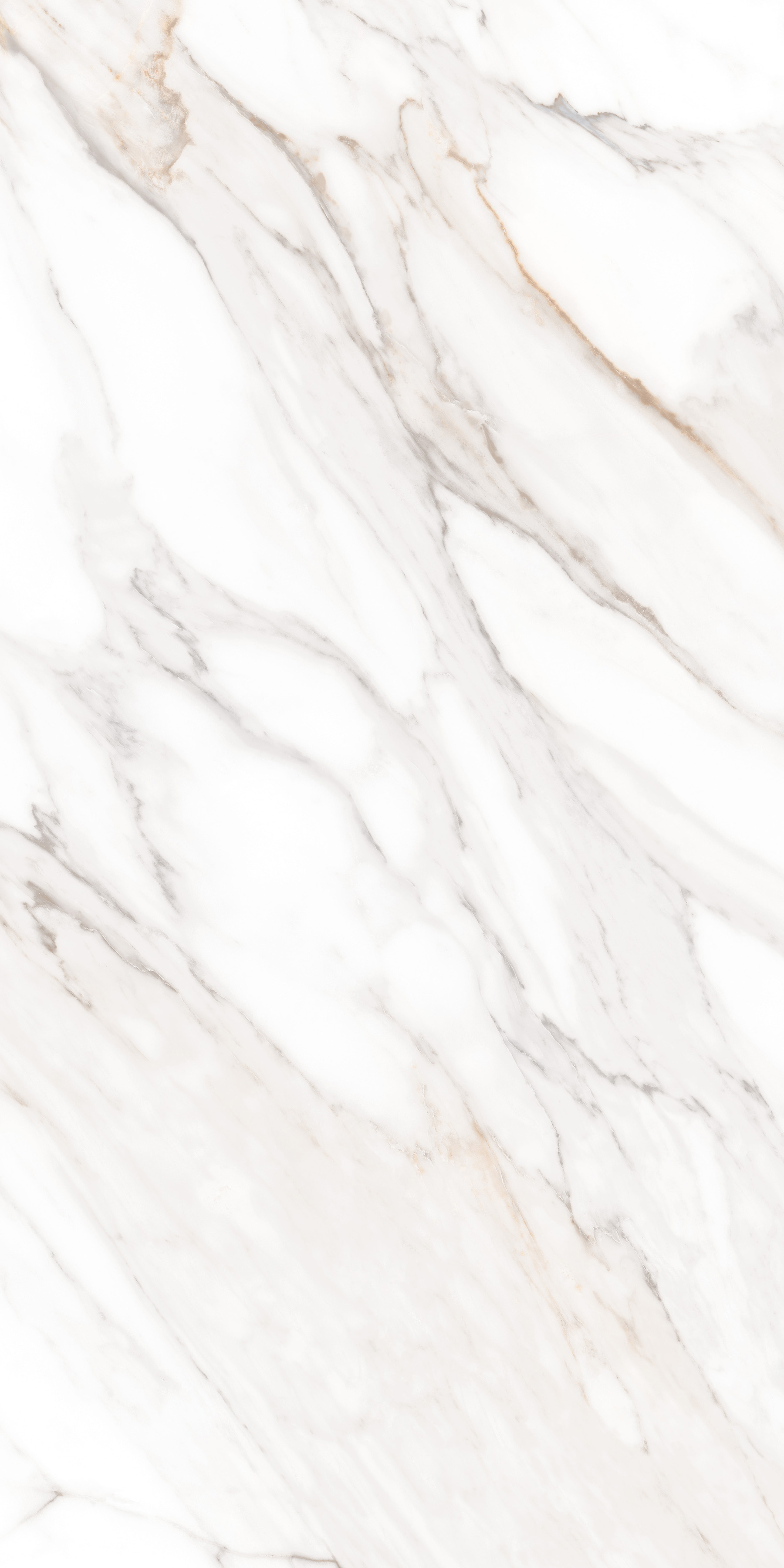 MPL-058630 На пол Simero Calacatta Gold Satin 60x120 - фото 9