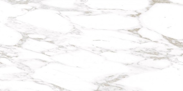 GRS01-19 На пол Ellora Lotus 60x120 - фото 7