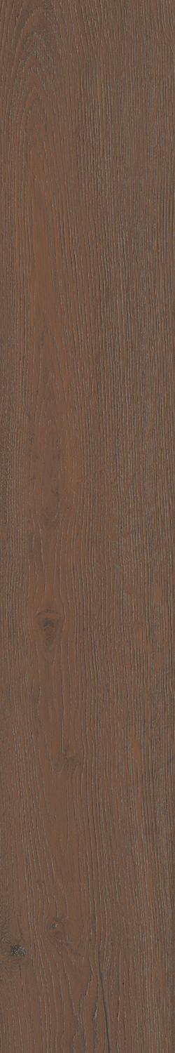 SG732990R На пол Тровазо Коричневый тёмный матовый обрезной 13x80x0.9