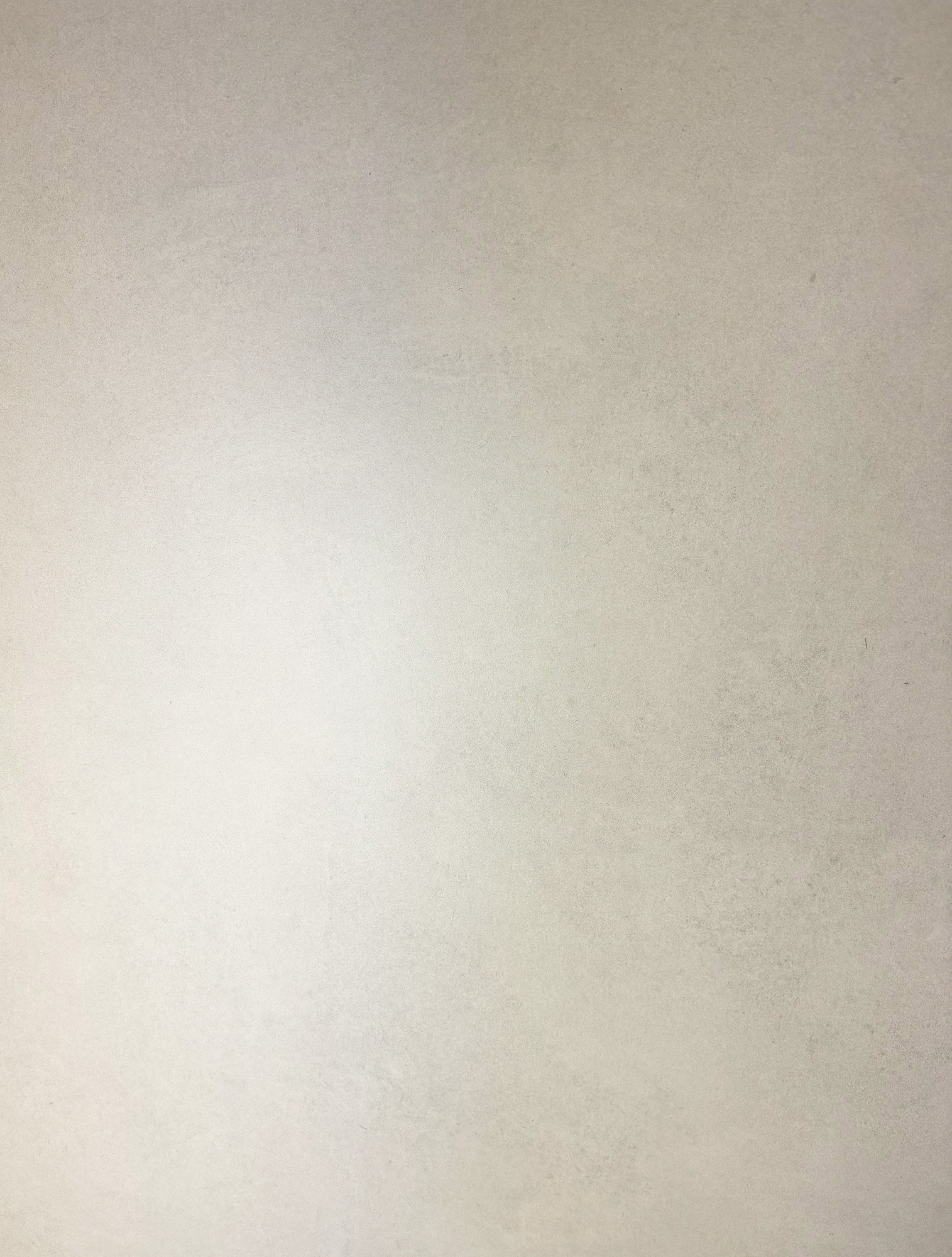 CZ-RT05-B На пол Cement Silver Grey Matt Rustic 80x160 - фото 8