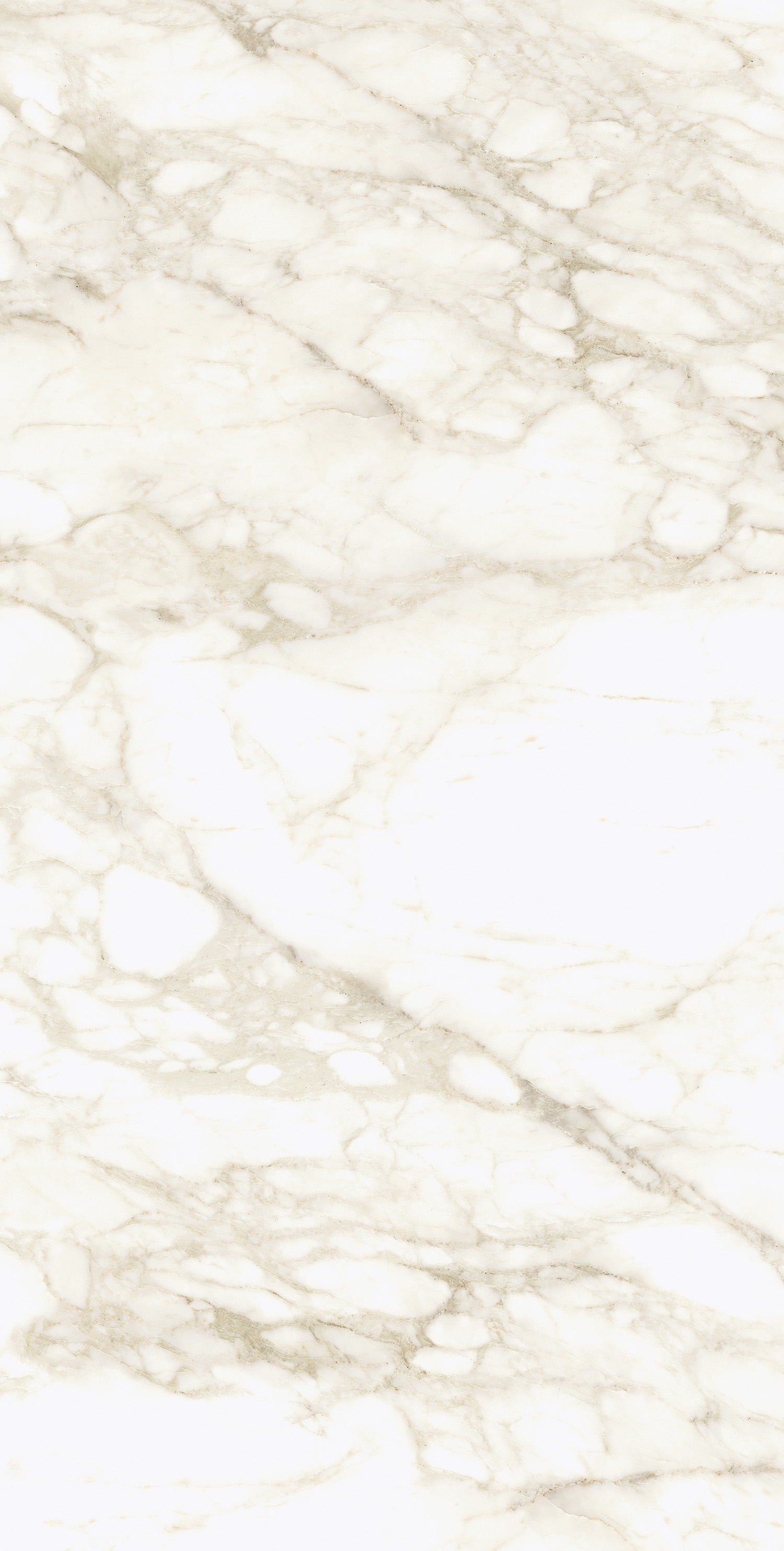 610010002745 На пол Michelangelo Ворм 60x120 - фото 2