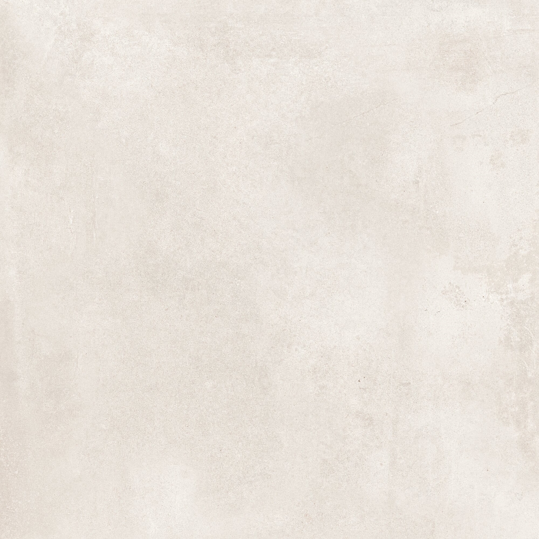 25527 На пол Shark B/60X60/R - фото 4