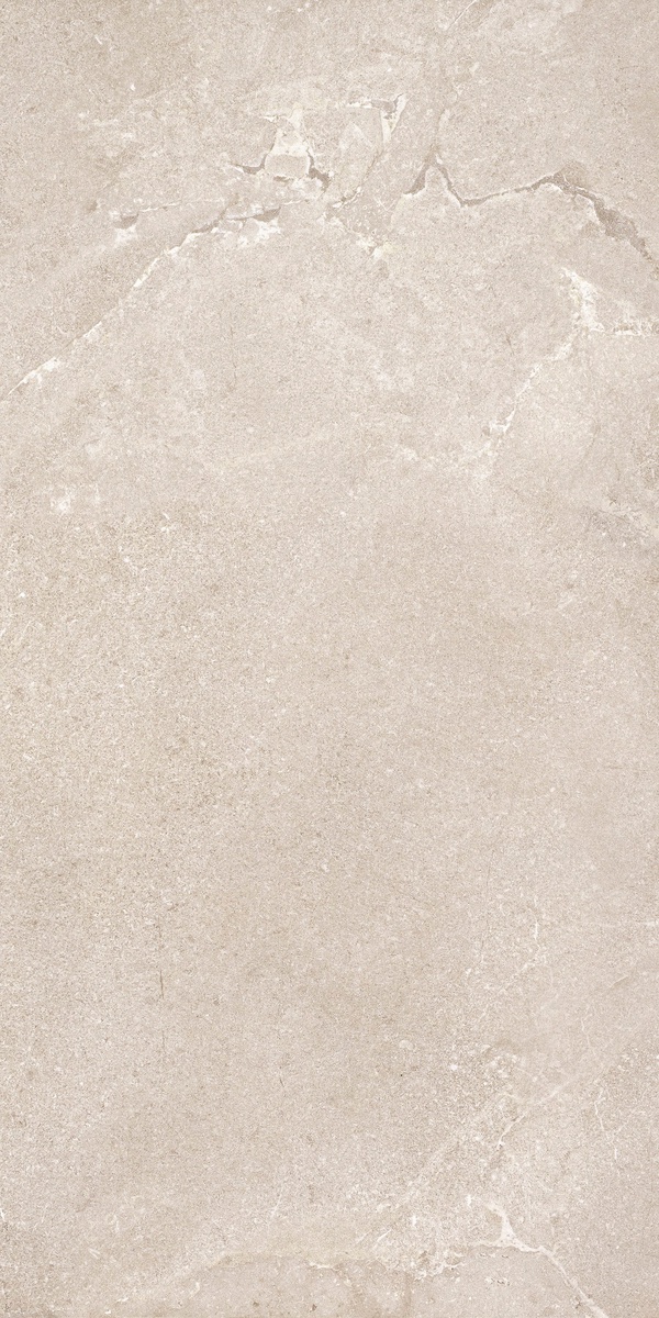 DNWS201 На пол New Stone Daino 60x120 - фото 2