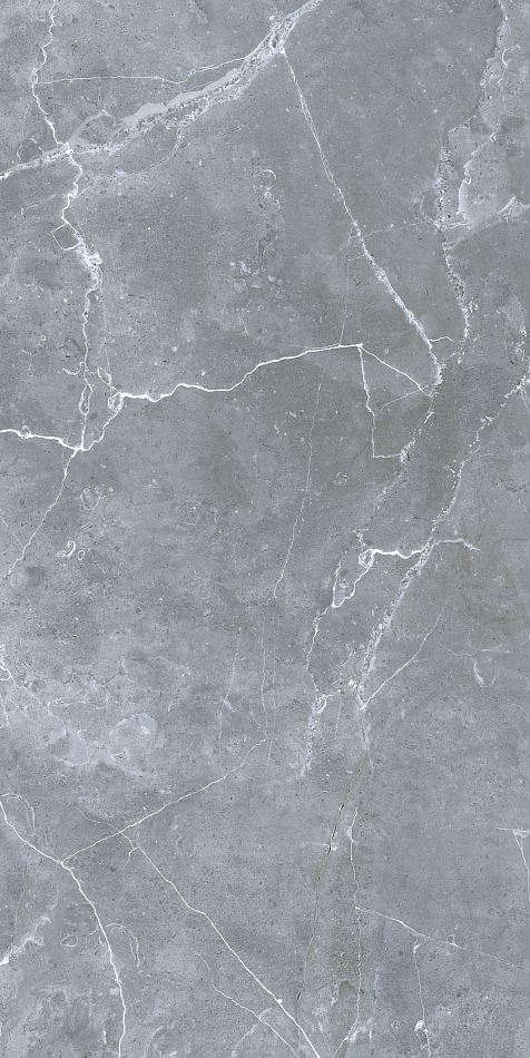 GRS02-12 На пол Petra Northen Silver 120x60 - фото 9