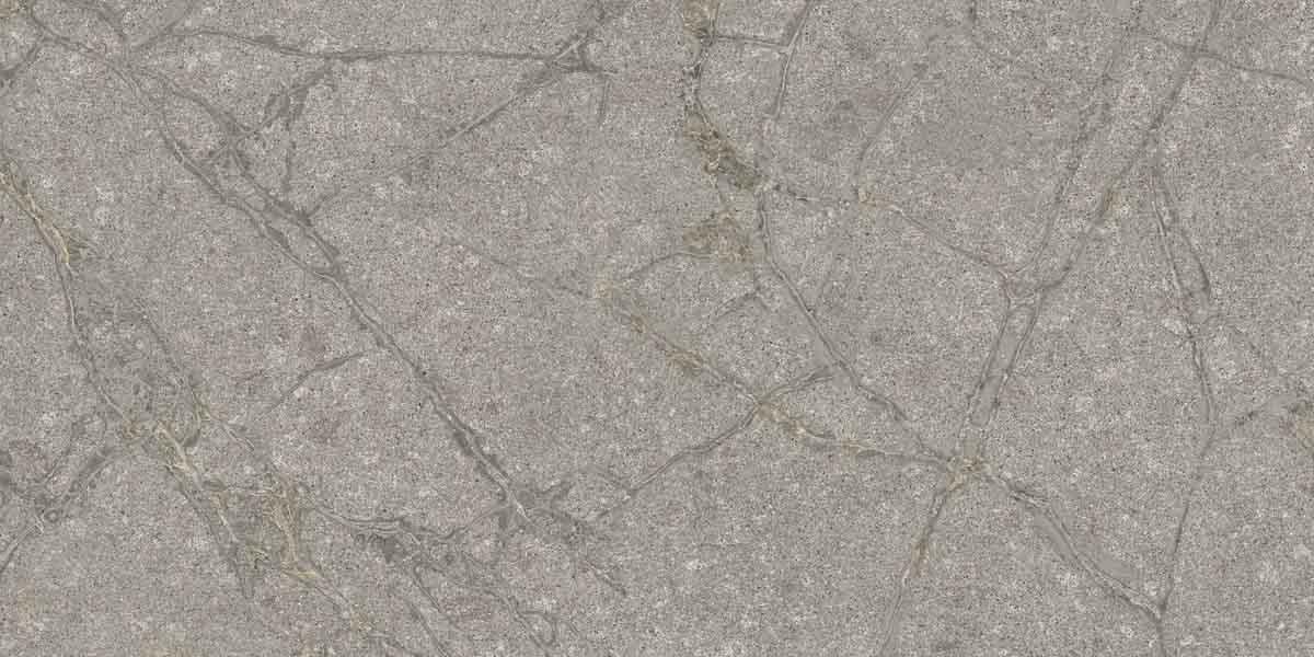 PF60011858 На пол Supreme Memories Grey Soapstone Ant Ret 60x120 - фото 5