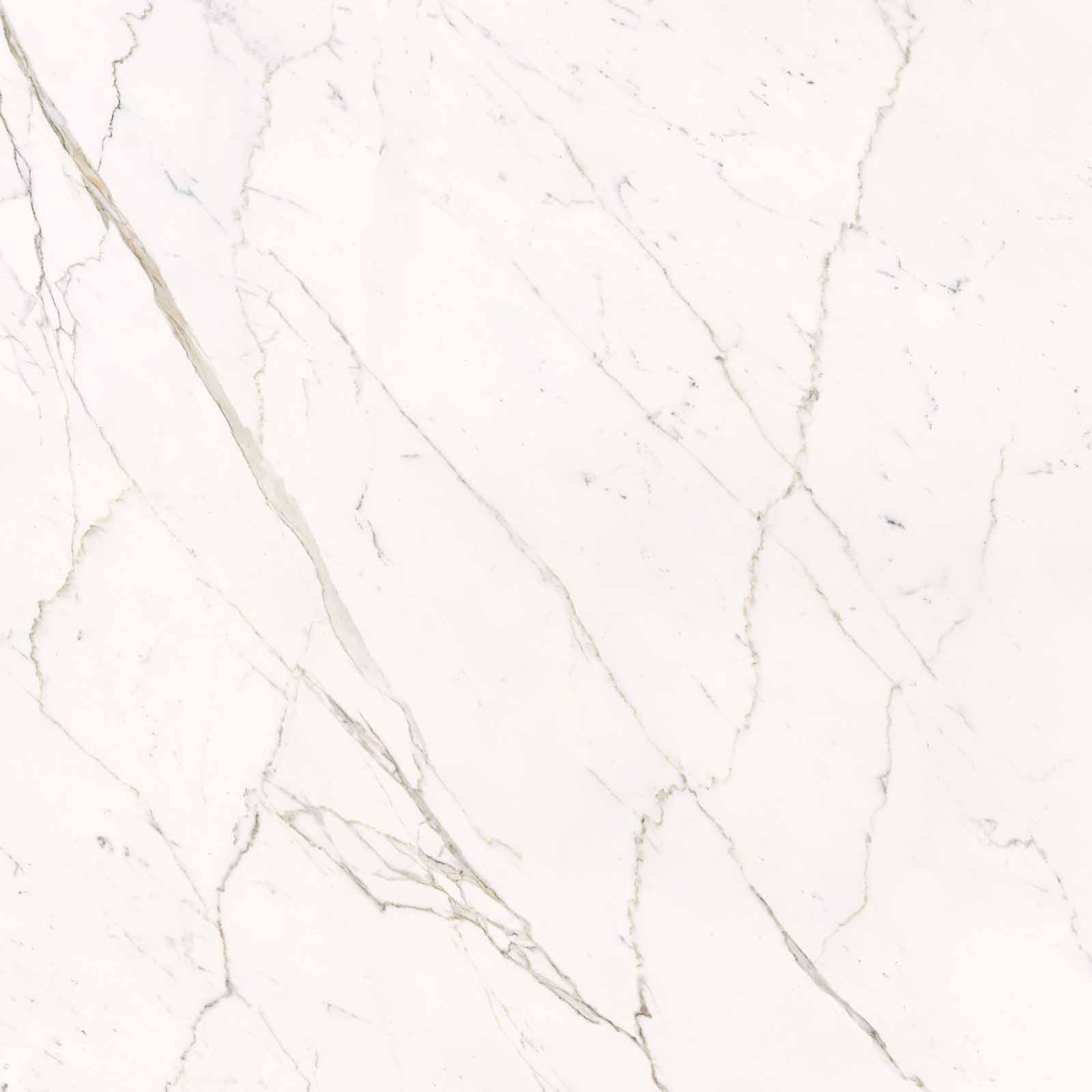 59A2 На пол Elements Lux Calacatta Statuarietto Lappato RT 120x120 - фото 9