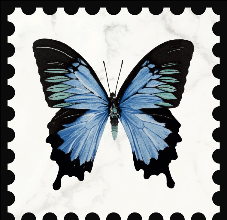 K1222MK0A0 Декор Victorian by Mary Katrantzou White Butterfly Perforated (set 4 pcs) 20х20 - фото 5