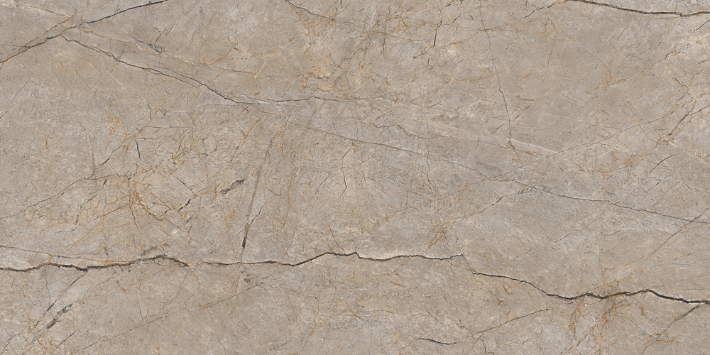 A17124 На пол Silver Roots Серый матовый ректификат 60x120 - фото 5