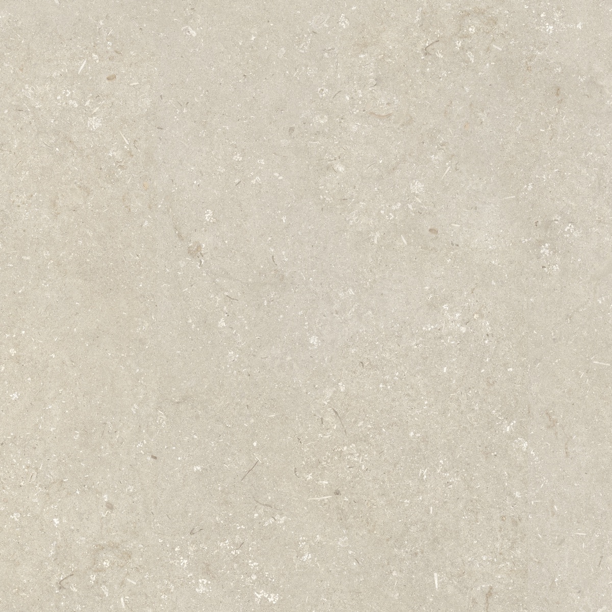 005848 На пол Shellstone Beige 120x120 - фото 3