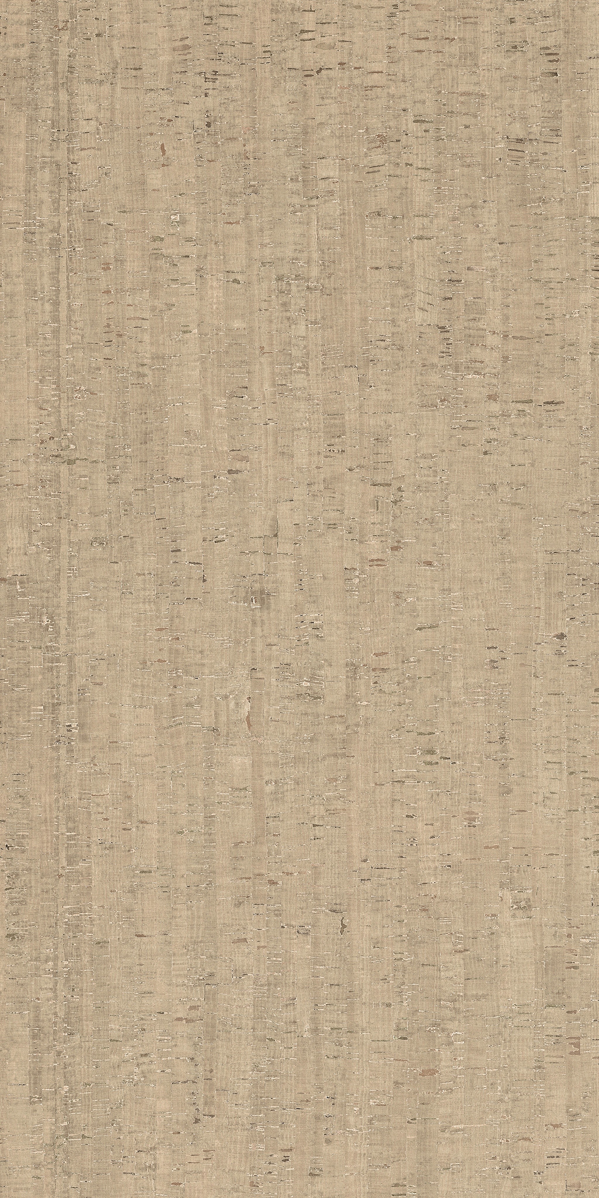 785600 На пол Rinascenza Modulo Conchiglia Matte 6mm 120x240 - фото 3