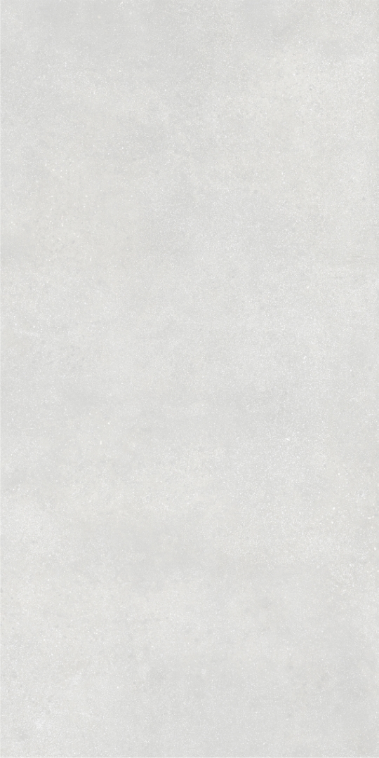 010400001369 На пол Beton Light grey PG 11 60х120