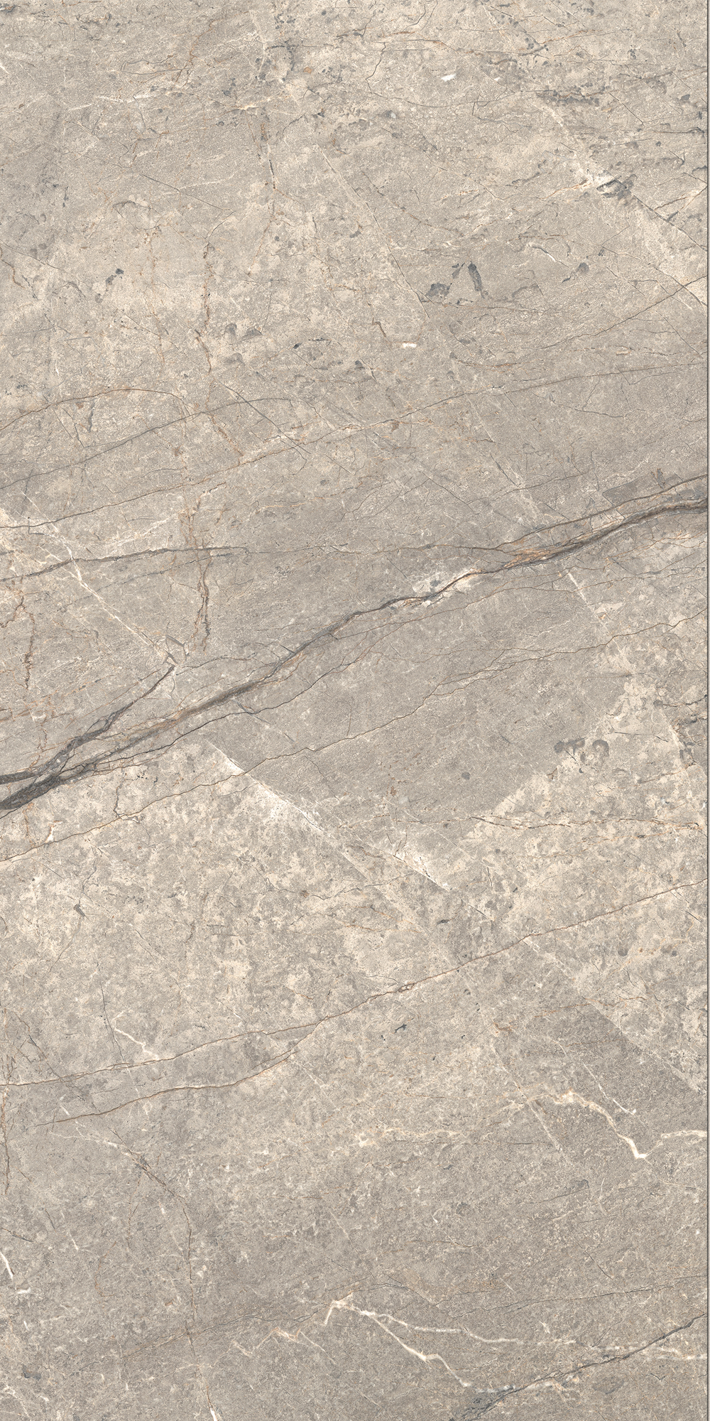 AIAV На пол Anima Futura Amazing Silver Liscio Matt 60x120 - фото 7