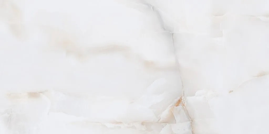 N20566 На пол Onyx Bianco Polished 80x160 - фото 4