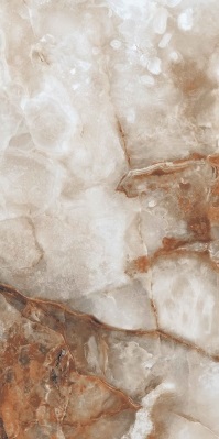 52104 На пол Ajmer Gold 60x120 - фото 7